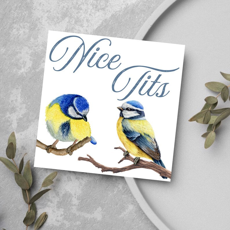 Funny Card, Nice Tits, Rude Card for Wife, for Girlfriend, for Her