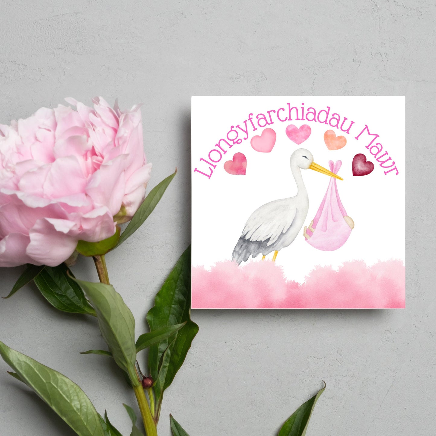 Image of a square greetings card with a stork delivering a baby in a pink blanket. There are 5 pink watercolour hearts above the stork and the at the top is pink text 'llongyfarchiadau Mawr' which translates from welsh as many congratulations