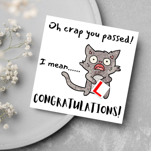 cartoon cat l plate passed driving test