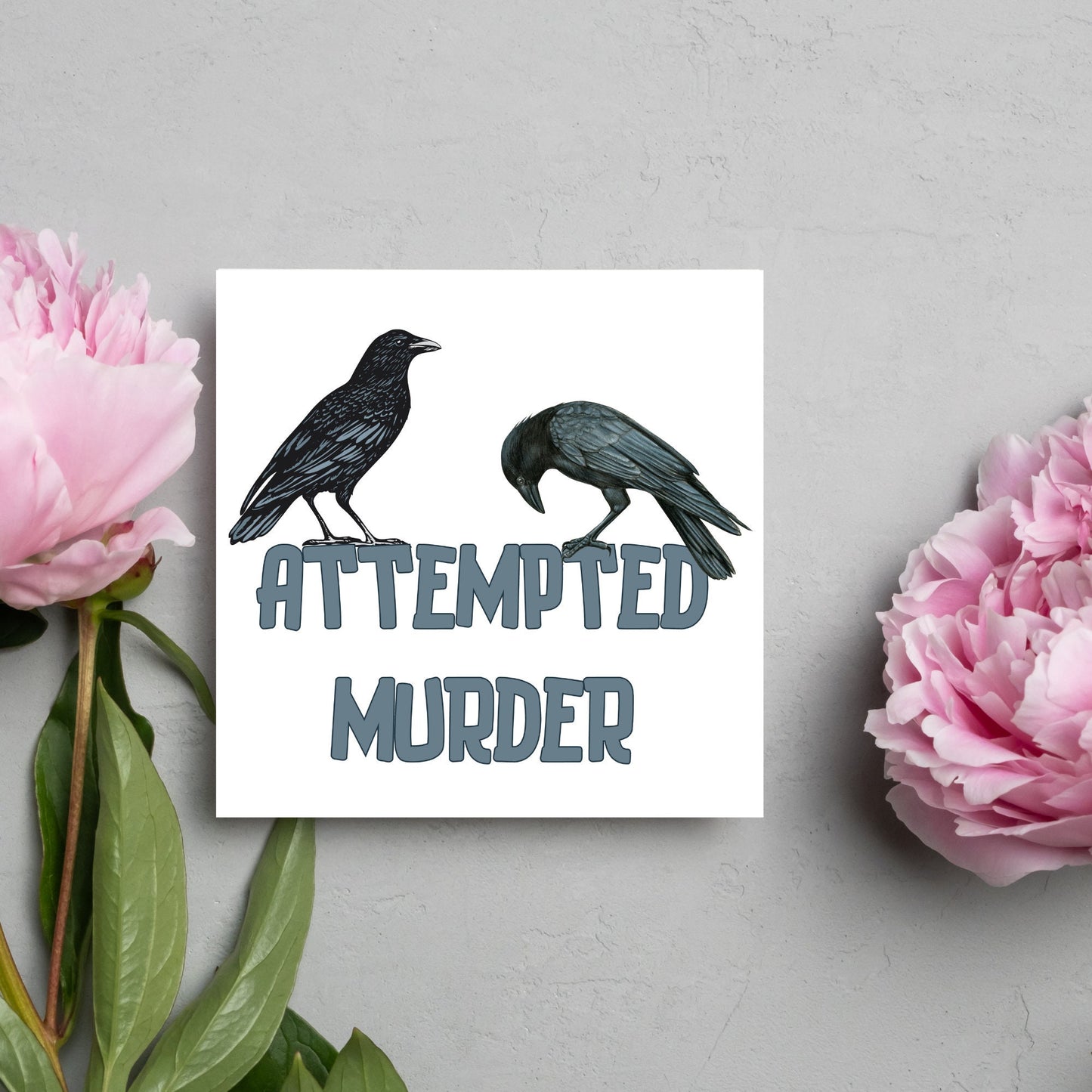 square card with the words attempted murder and 2 crows sitting on top of the text (a murder is the collective name 3 or more crows)