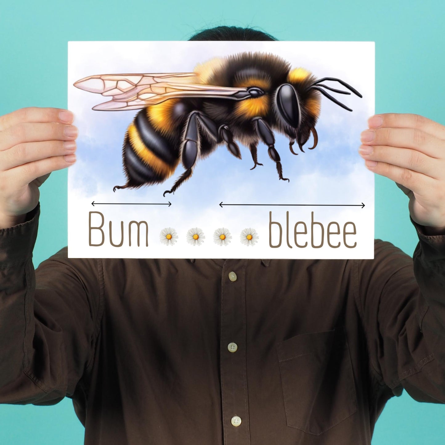 A framed A4 art print featuring a detailed illustration of a bumblebee with soft blue sky in the background. Below the bee, the text playfully reads "Bum" followed by five daisy icons and then "blebee," with arrows pointing across the entire phrase to emphasise the humorous, stretched-out pun