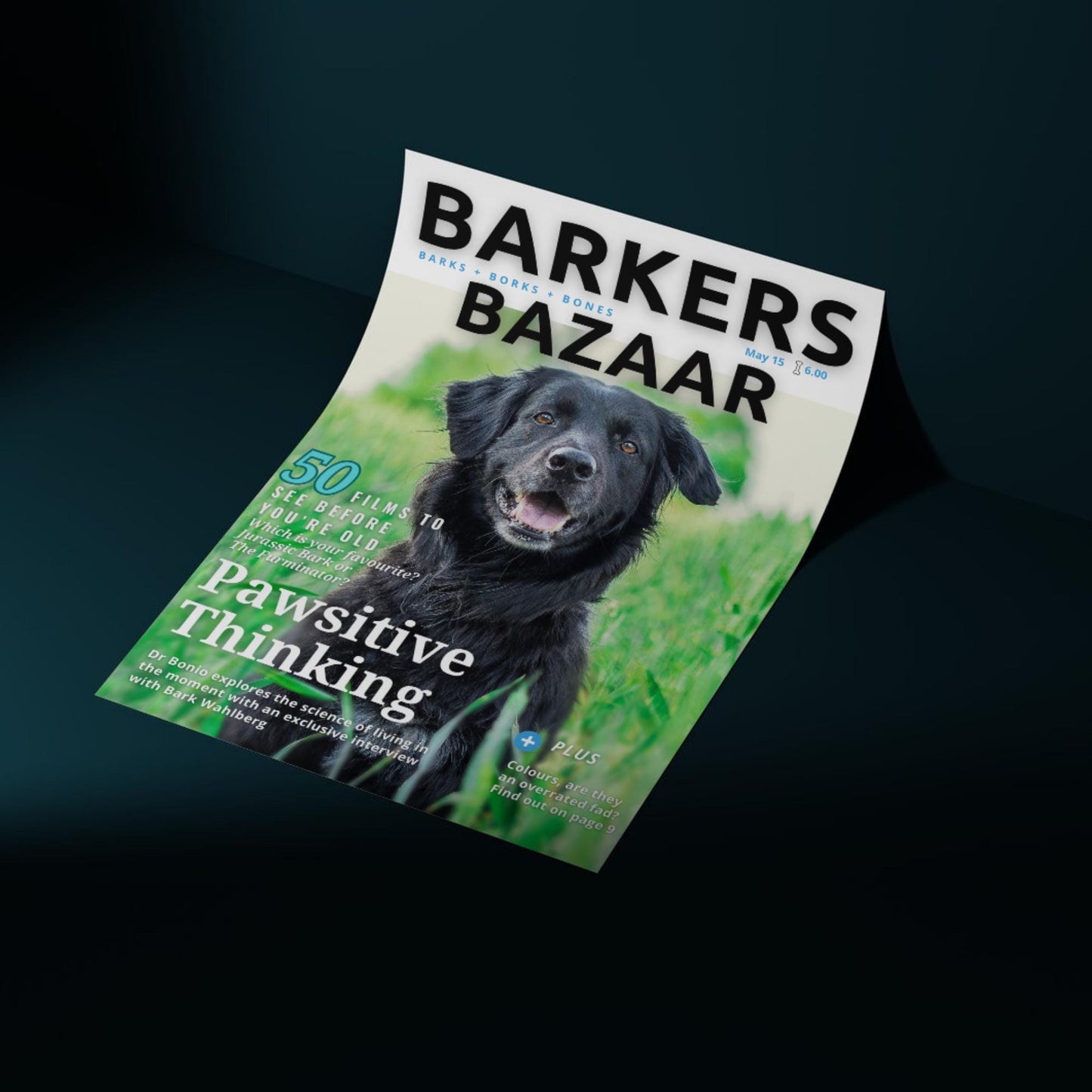 Custom Pet Photo Magazine Cover, Personalised Dog Poster, Fast Design & Shipping, Dog Portraits, Your Dog On a Magazine Cover Wall Art