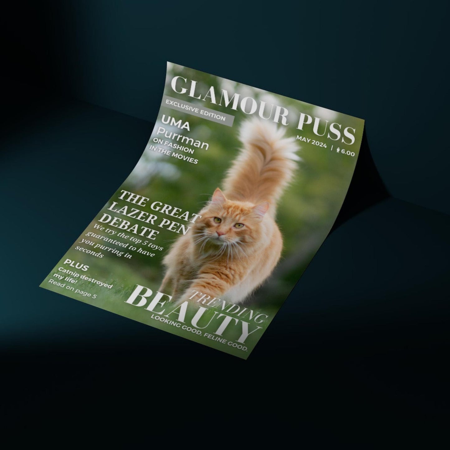 Custom Pet Photo Magazine Cover, Personalised Cat Poster, Fast Design & Shipping, Cat Portraits, Your Cat On a Magazine Cover Wall Art