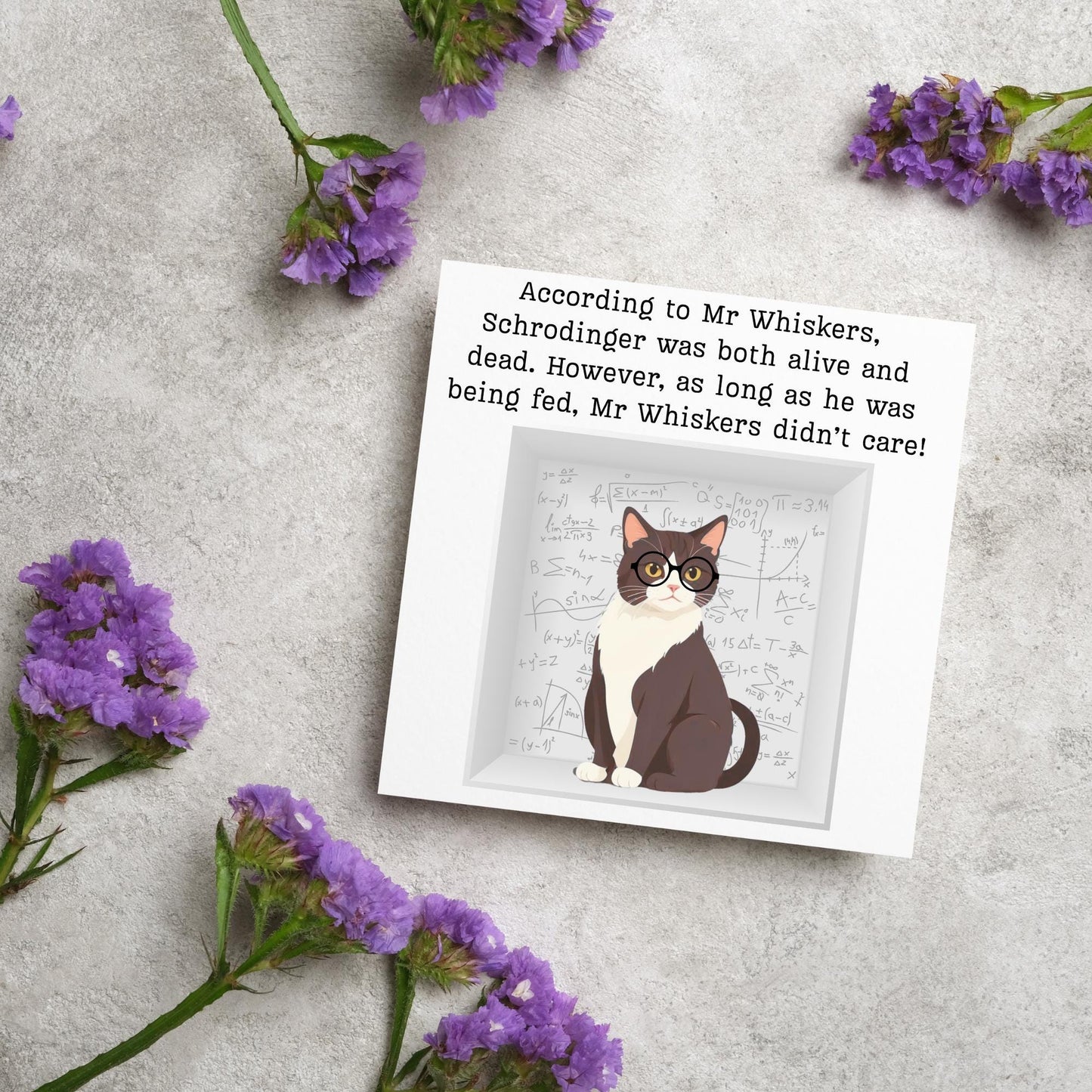 Quantum Physics Birthday Card, Funny Physicist Card, Schrodinger Card, Classic Joke Card, Funny Card for Scientist, Schrodinger's Cat