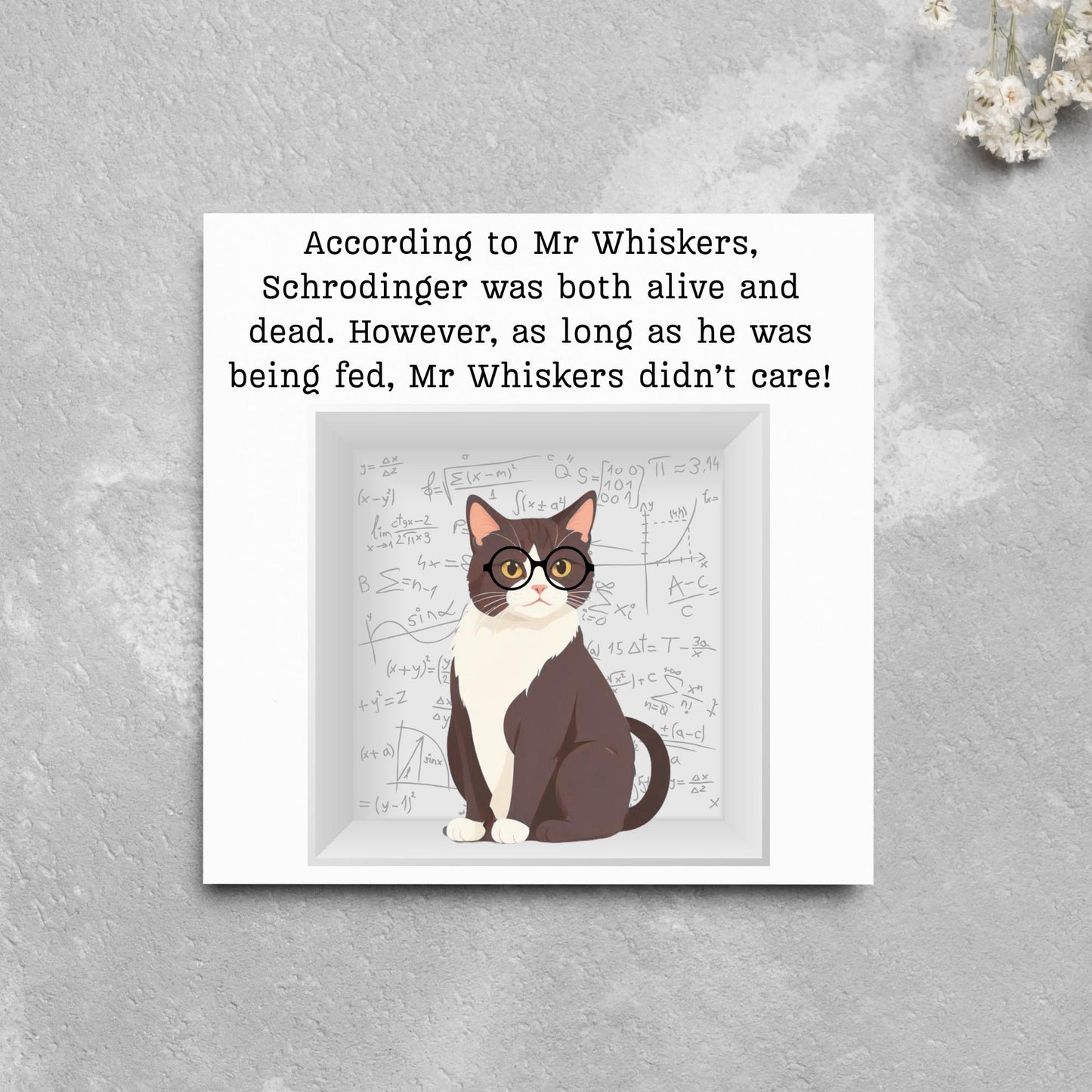 Quantum Physics Birthday Card, Funny Physicist Card, Schrodinger Card, Classic Joke Card, Funny Card for Scientist, Schrodinger's Cat
