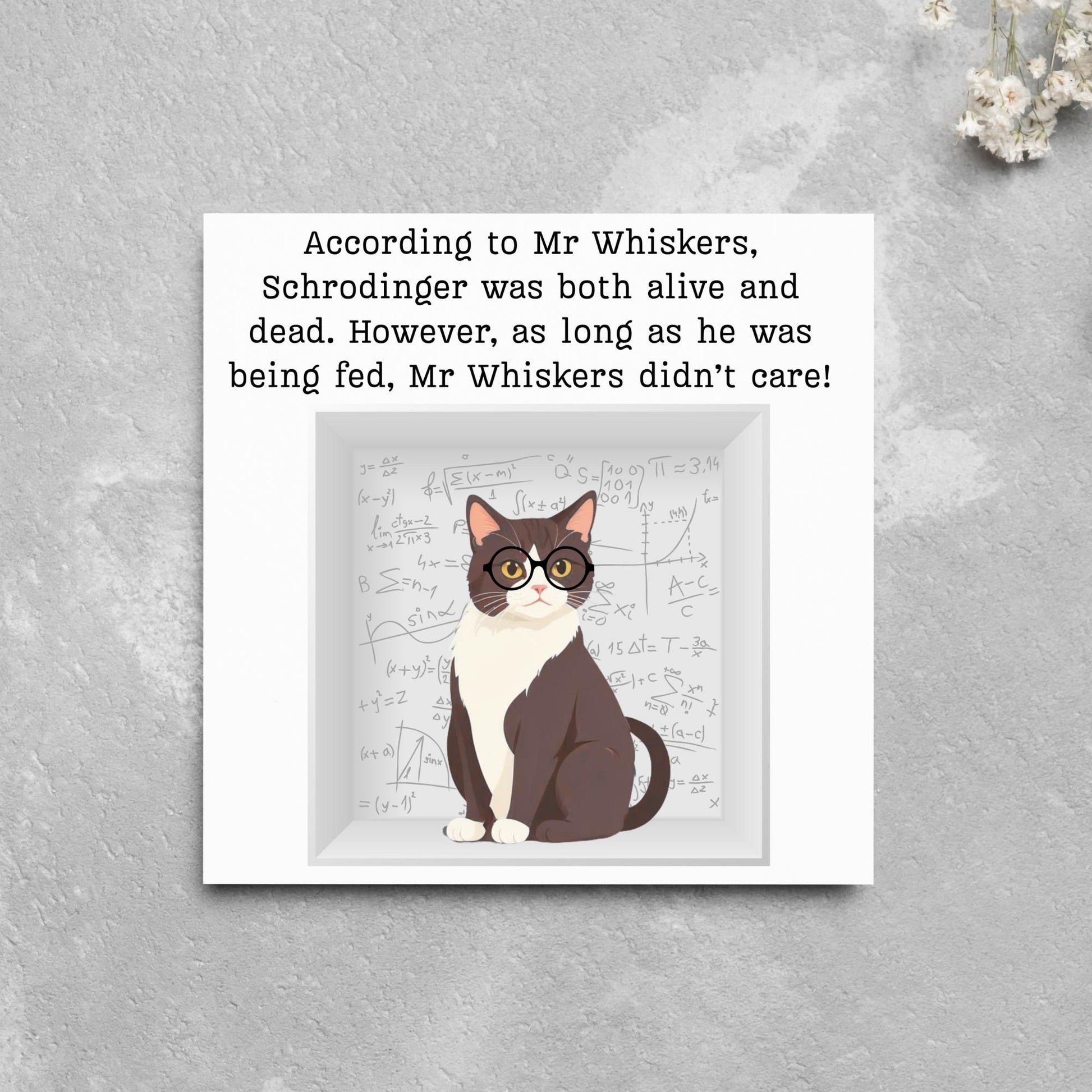 Quantum Physics Birthday Card, Funny Physicist Card, Schrodinger Card, Classic Joke Card, Funny Card for Scientist, Schrodinger's Cat