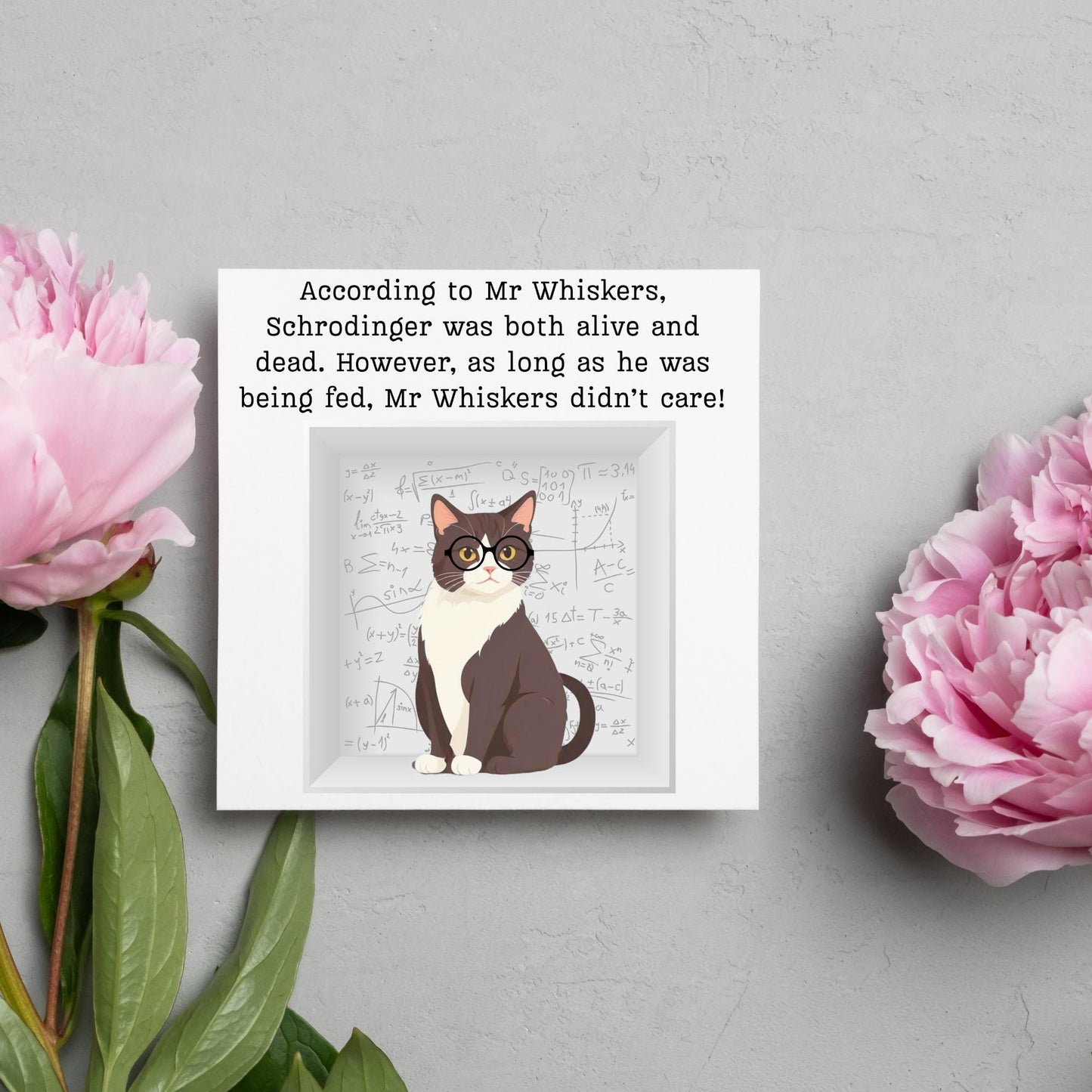 Quantum Physics Birthday Card, Funny Physicist Card, Schrodinger Card, Classic Joke Card, Funny Card for Scientist, Schrodinger's Cat
