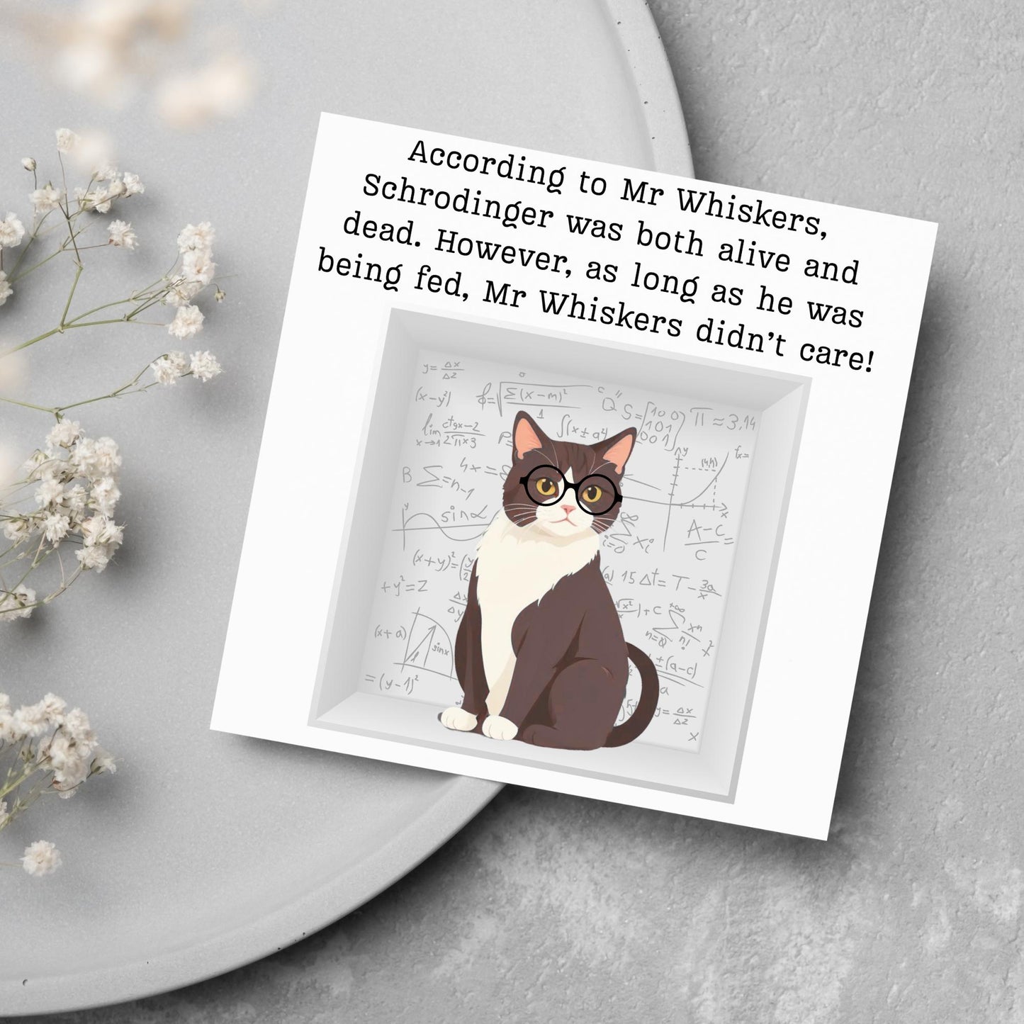 Quantum Physics Birthday Card, Funny Physicist Card, Schrodinger Card, Classic Joke Card, Funny Card for Scientist, Schrodinger's Cat