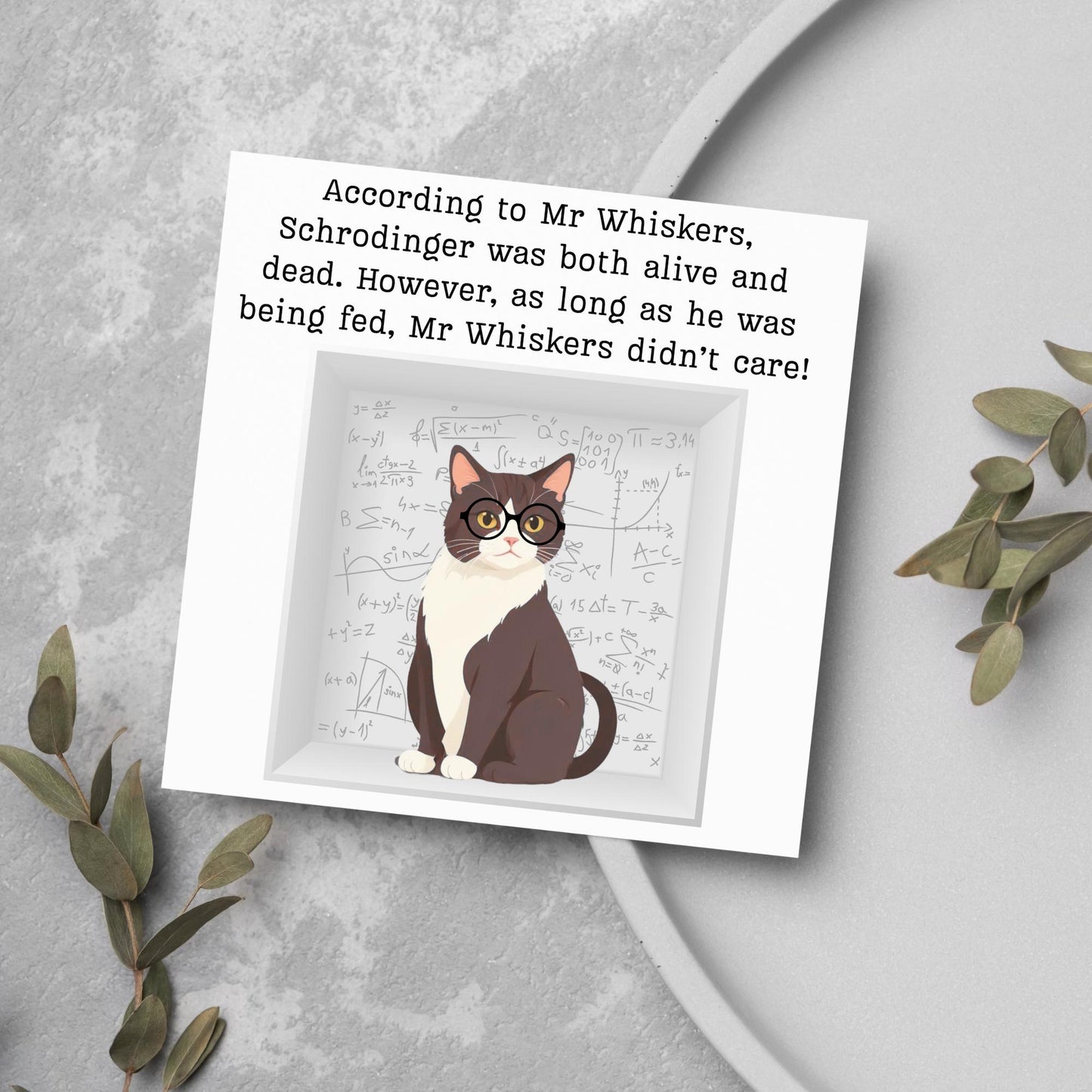 Quantum Physics Birthday Card, Funny Physicist Card, Schrodinger Card, Classic Joke Card, Funny Card for Scientist, Schrodinger's Cat