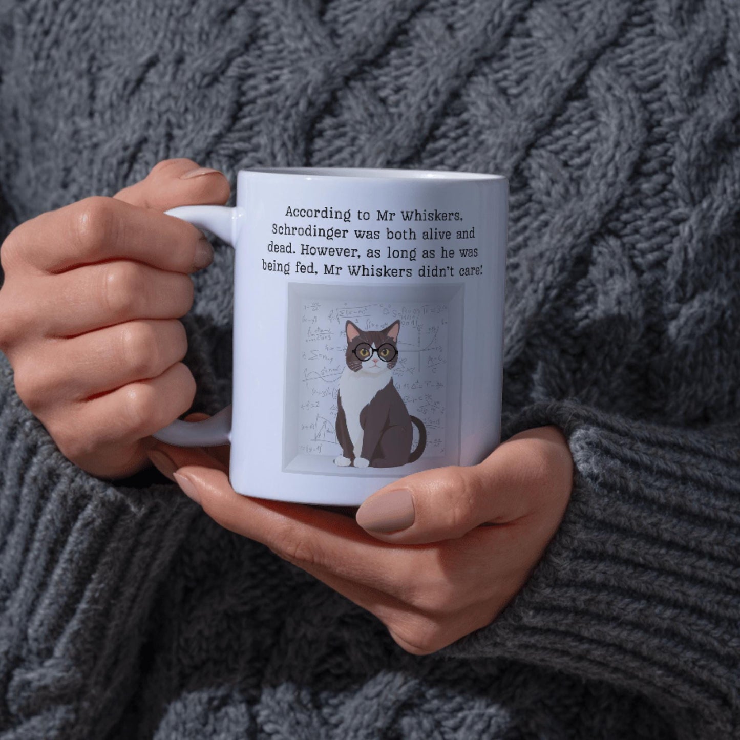 Philosophy Joke Mug, Schrodinger Fun gift for Philosophy Student, Schrodingers Cat Mug, Pun Mug, Gift for Philosophy Teacher