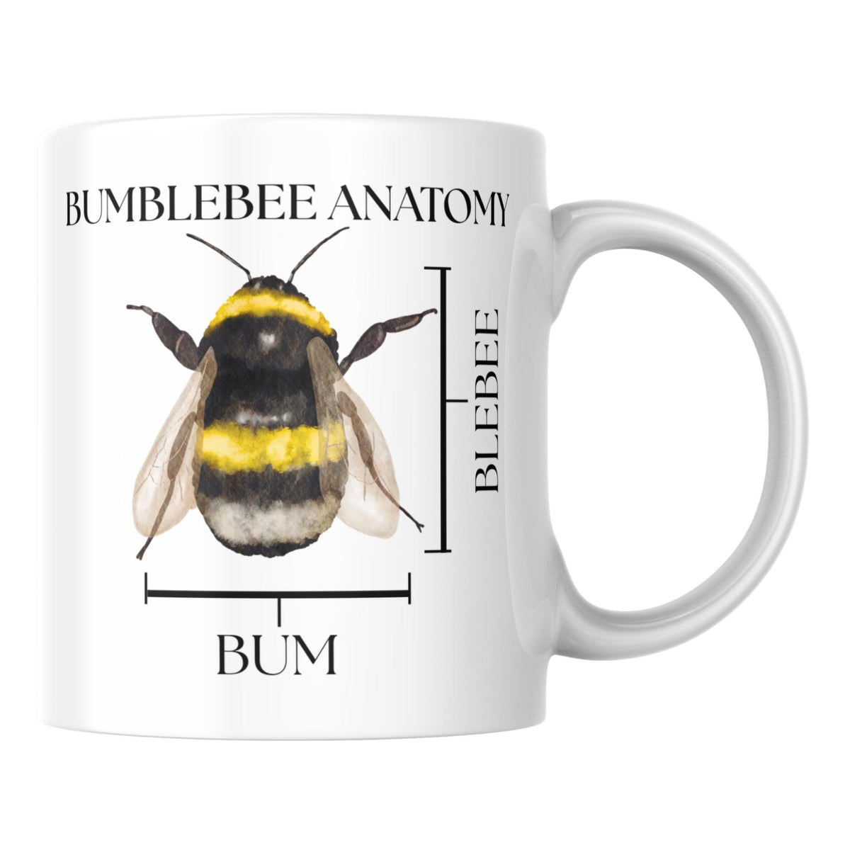 Bumblebee Anatomy Mug, Funny Science Gift, Multi Colour Options
