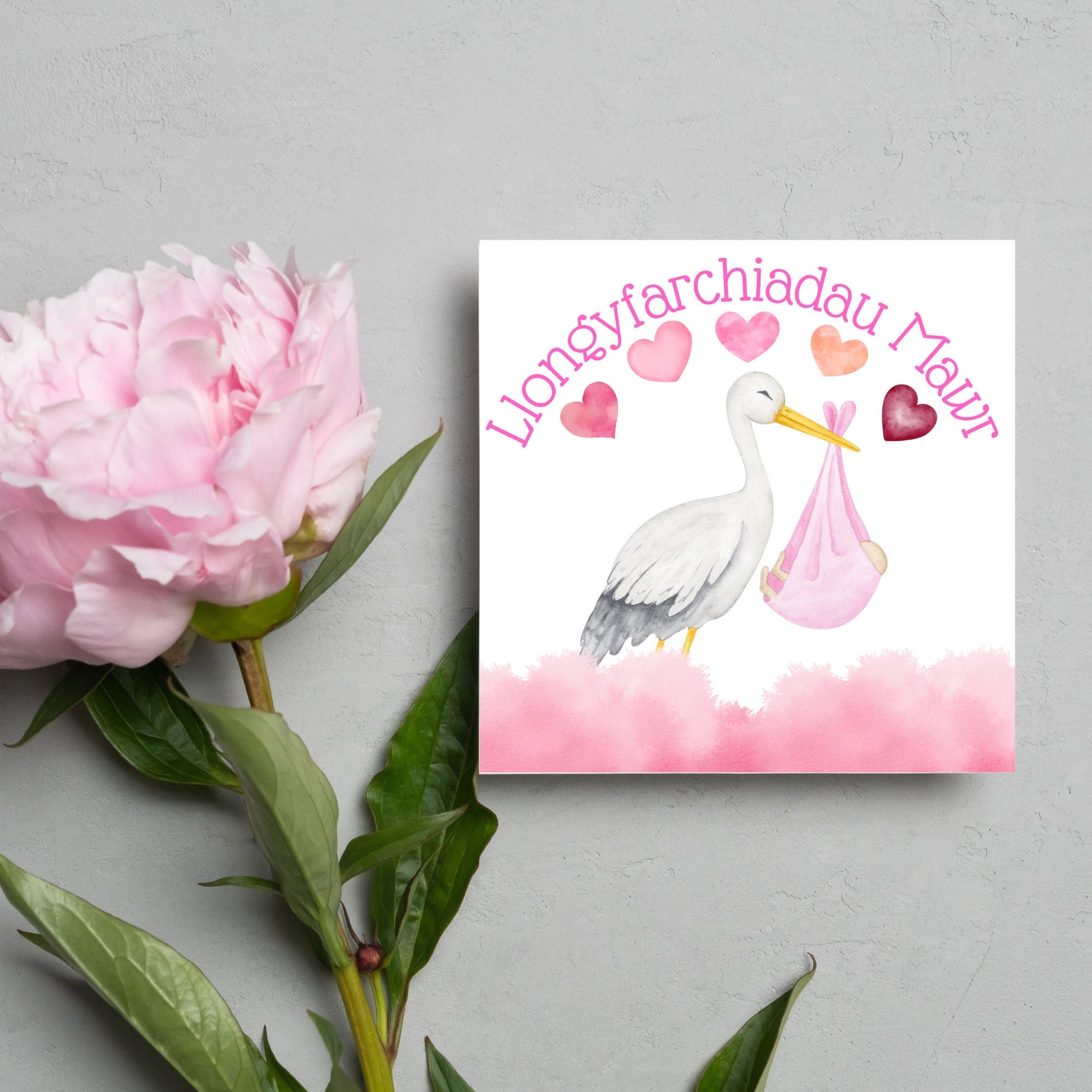 Image of a square greetings card with a stork delivering a baby in a pink blanket. There are 5 pink watercolour hearts above the stork and the at the top is pink text &#39;llongyfarchiadau Mawr&#39; which translates from welsh as many congratulations