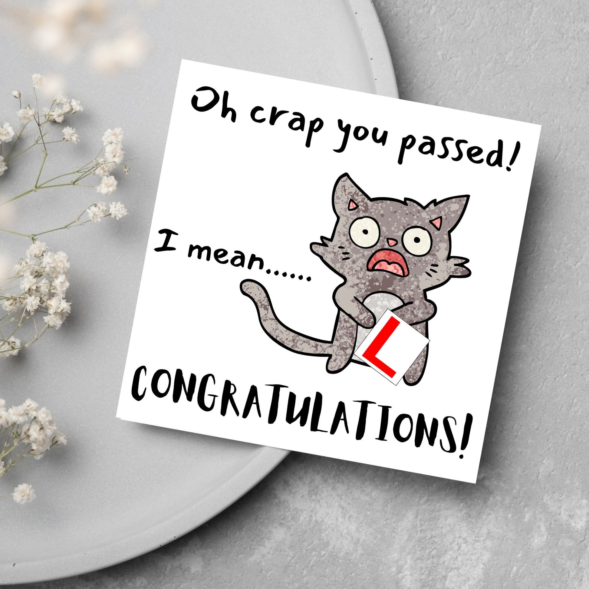 cartoon cat l plate passed driving test 