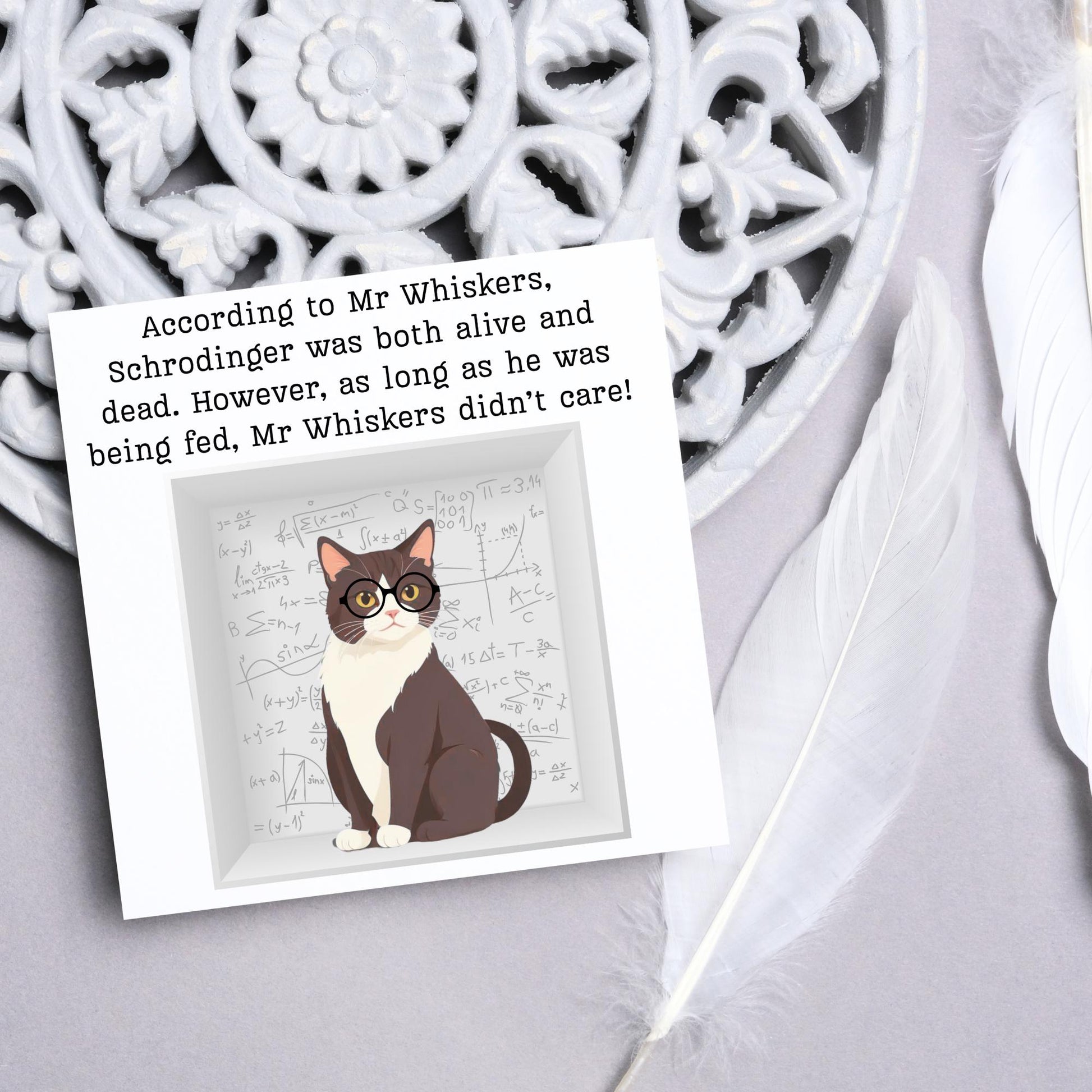 Quantum Physics Birthday Card, Funny Physicist Card, Schrodinger Card, Classic Joke Card, Funny Card for Scientist, Schrodinger's Cat