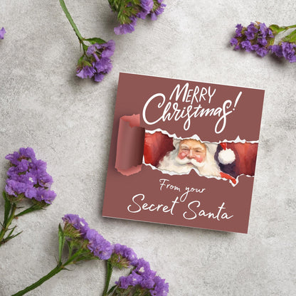 Secret Santa Christmas Card, Office Card, Work Card, Xmas Card, Co Worker Card, Colleague Card, Secret Santa Idea