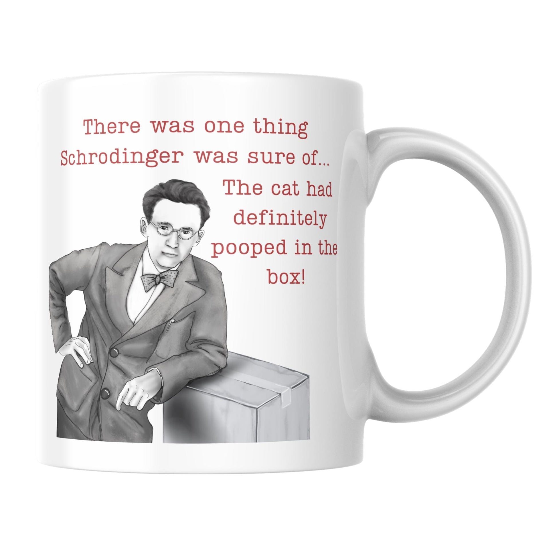 Philosophy Joke Mug, Schrodinger Fun gift for Philosophy Student, Schrodingers Cat Mug, Pun Mug, Gift for Philosophy Teacher