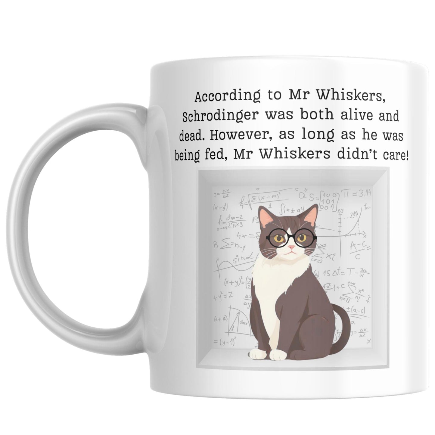 Philosophy Joke Mug, Schrodinger Fun gift for Philosophy Student, Schrodingers Cat Mug, Pun Mug, Gift for Philosophy Teacher
