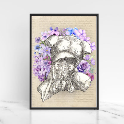 Andreas Vesalius Art, Biology Wall Art, A4 Print, High Quality Anatomy Wall Art, Floral Anatomy Poster, Gothic Wall Art, Corporis Fabrica