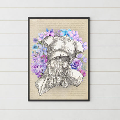 Andreas Vesalius Art, Biology Wall Art, A4 Print, High Quality Anatomy Wall Art, Floral Anatomy Poster, Gothic Wall Art, Corporis Fabrica