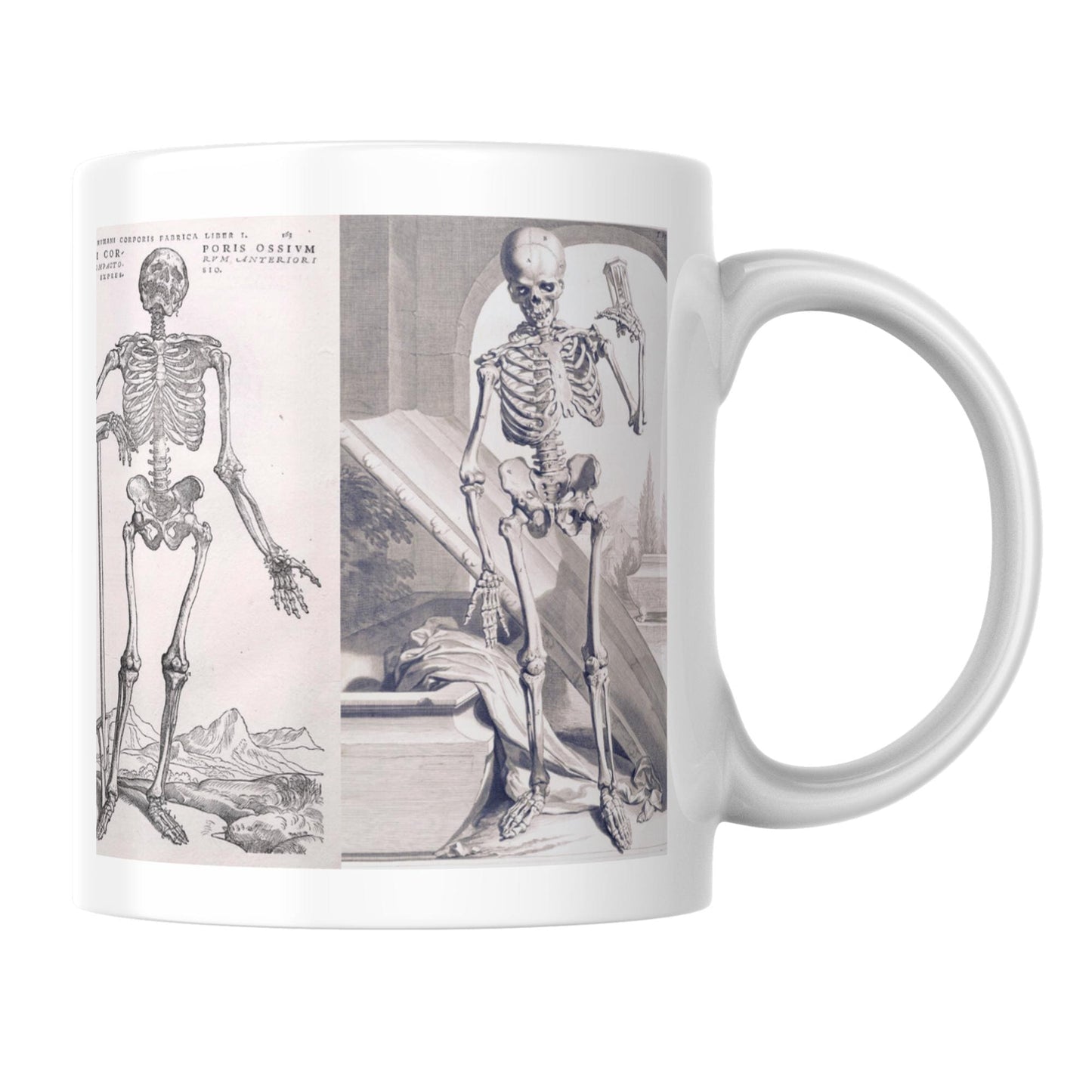 Andreas Vesalius Mug, Gift for Dr, Anatomy Mug, De Humani Corporis Fabrica, Human Anatomy Art Mug, Mug for Goths, Gothic Mug, History Mug