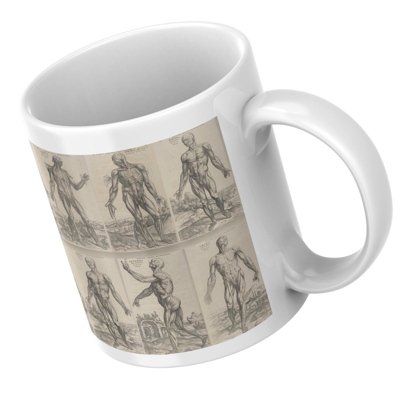 Andreas Vesalius Mug, Gift for Dr, Anatomy Mug, De Humani Corporis Fabrica, Human Anatomy Art Mug, Mug for Goths, Gothic Mug, History Mug