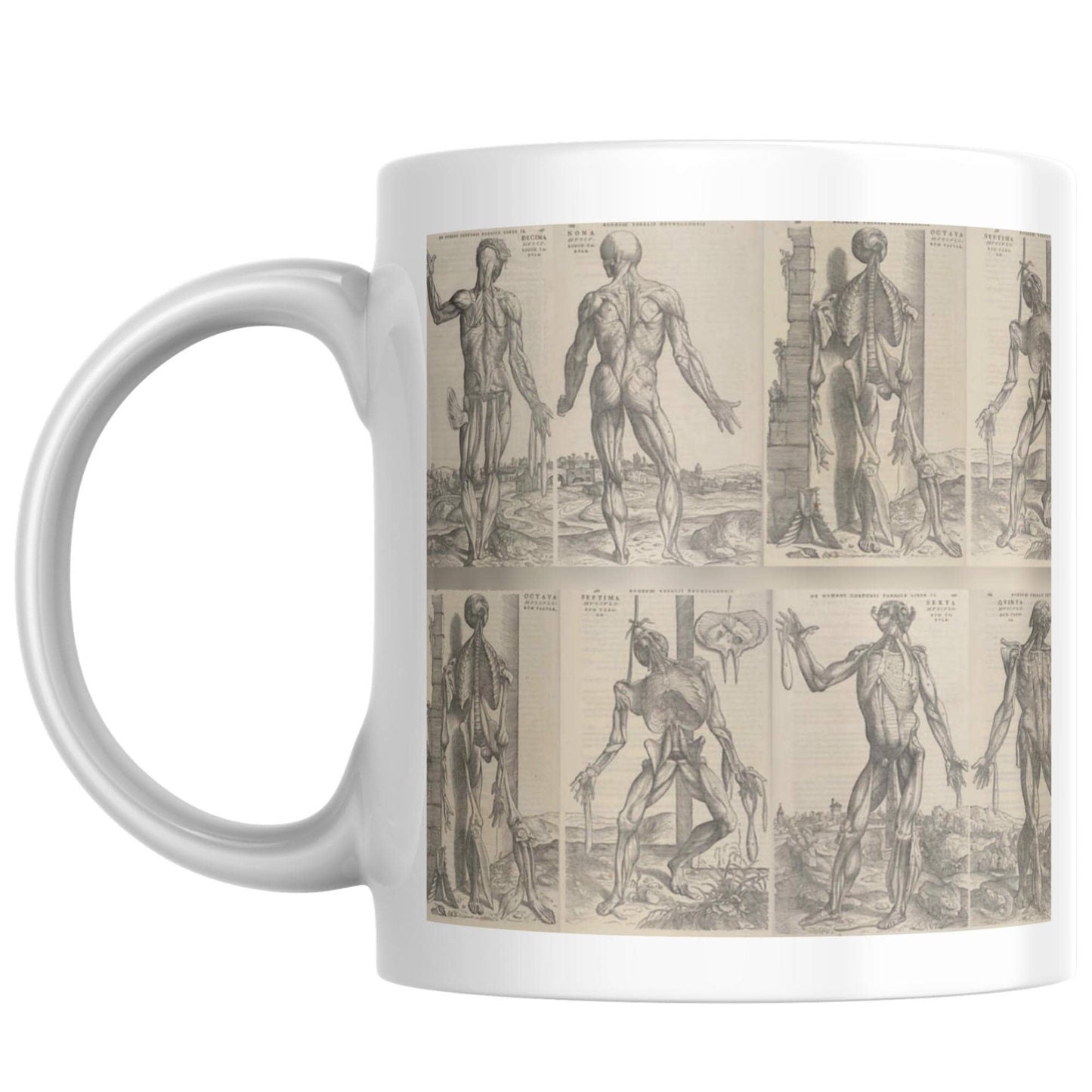 Andreas Vesalius Mug, Gift for Dr, Anatomy Mug, De Humani Corporis Fabrica, Human Anatomy Art Mug, Mug for Goths, Gothic Mug, History Mug