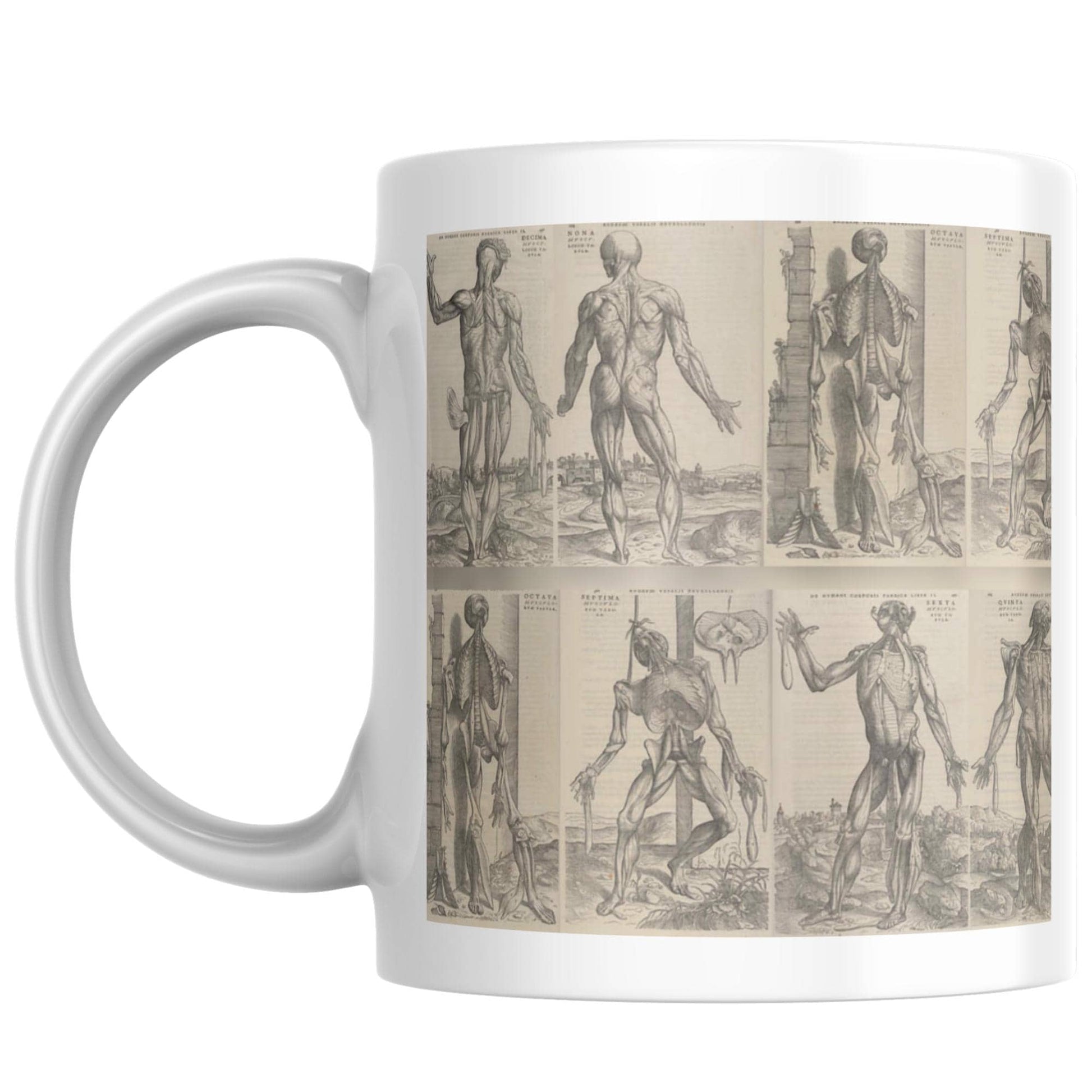 Andreas Vesalius Mug, Gift for Dr, Anatomy Mug, De Humani Corporis Fabrica, Human Anatomy Art Mug, Mug for Goths, Gothic Mug, History Mug