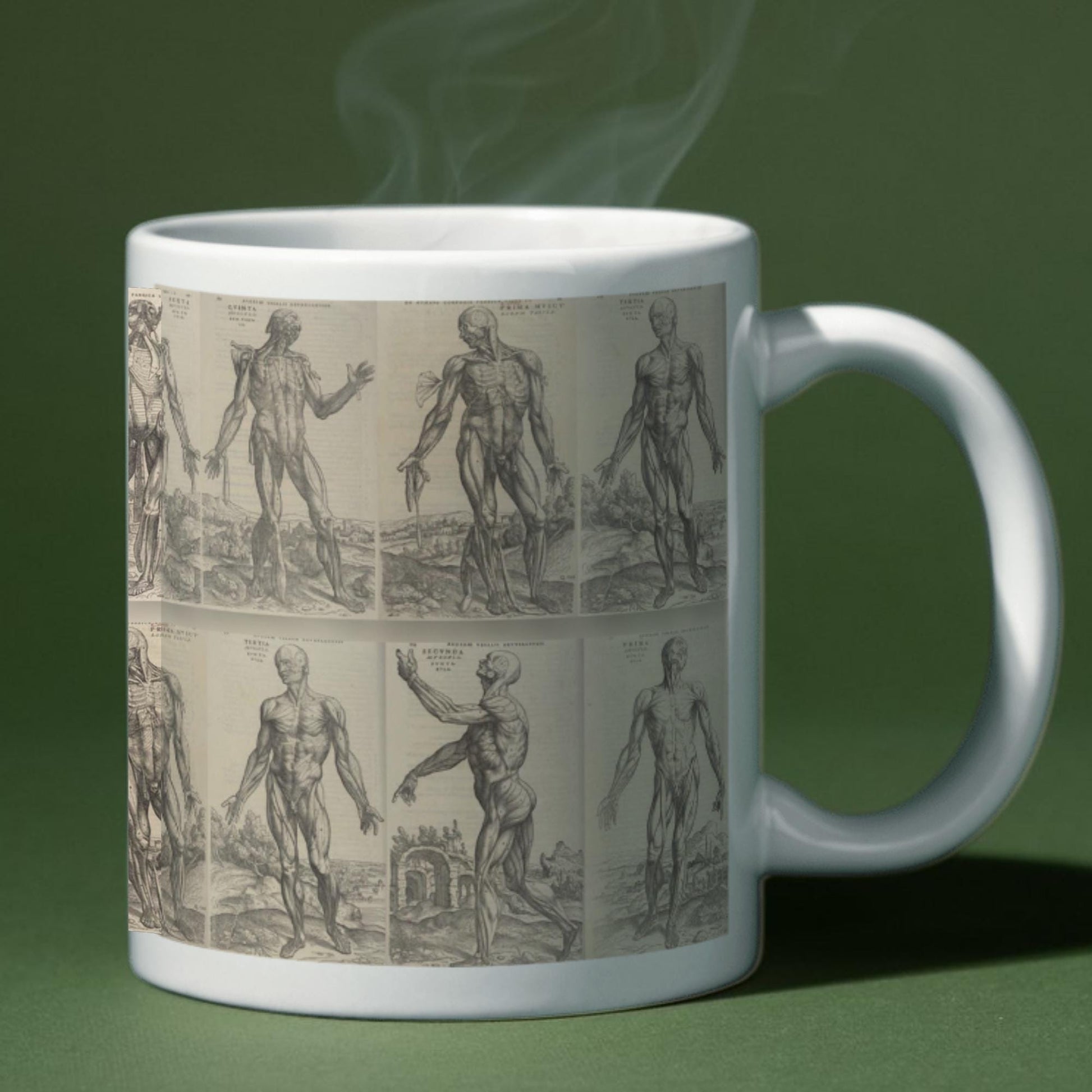 Andreas Vesalius Mug, Gift for Dr, Anatomy Mug, De Humani Corporis Fabrica, Human Anatomy Art Mug, Mug for Goths, Gothic Mug, History Mug