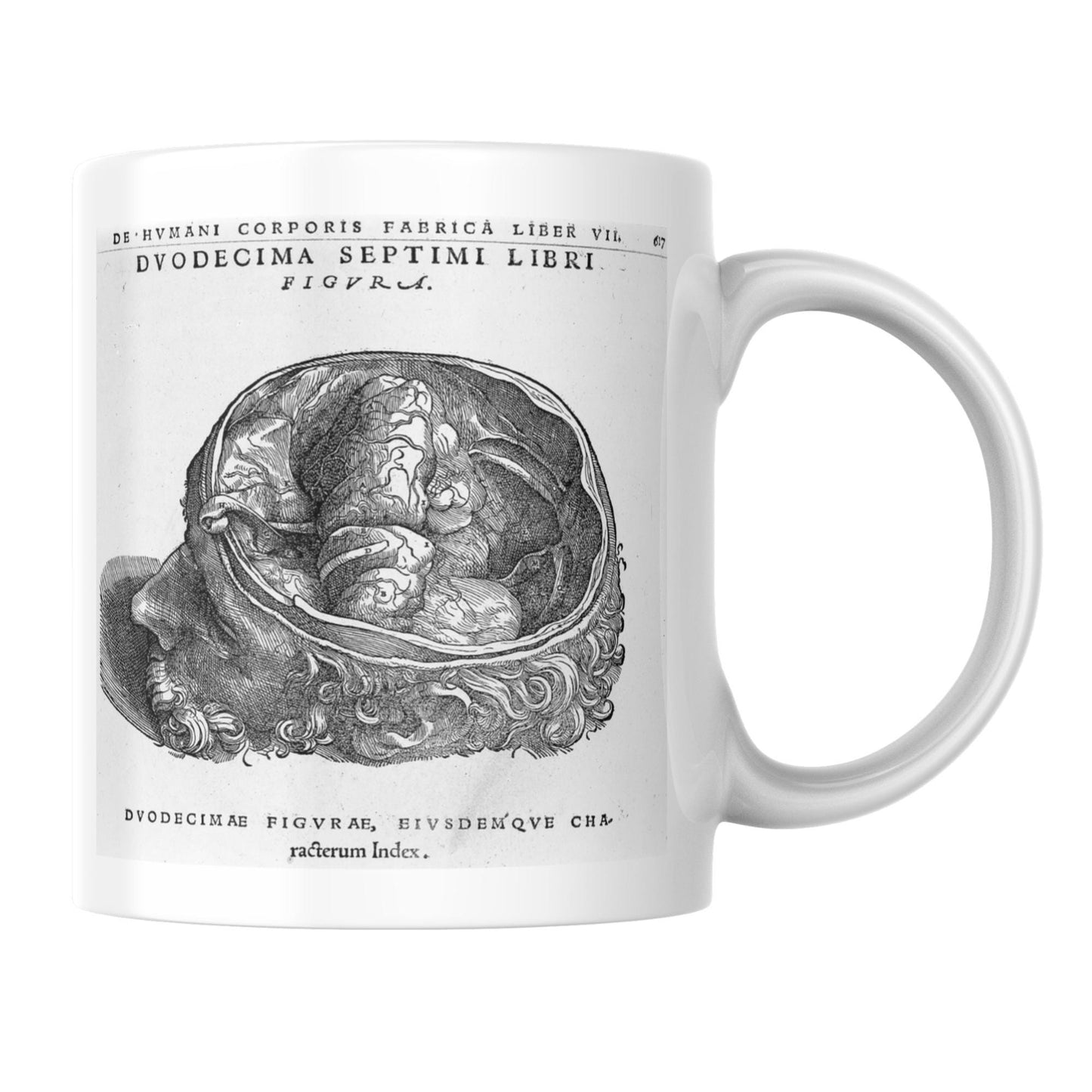 Andreas Vesalius Mug, Gift for Dr, Anatomy Mug, De Humani Corporis Fabrica, Human Anatomy Art Mug, Mug for Goths, Gothic Mug, History Mug