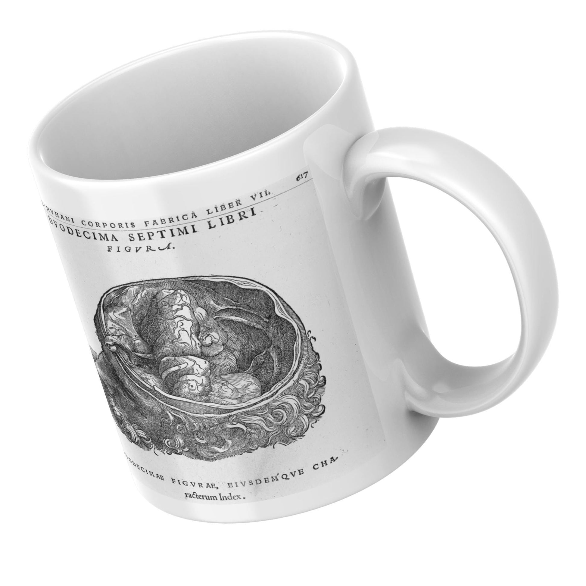 Andreas Vesalius Mug, Gift for Dr, Anatomy Mug, De Humani Corporis Fabrica, Human Anatomy Art Mug, Mug for Goths, Gothic Mug, History Mug