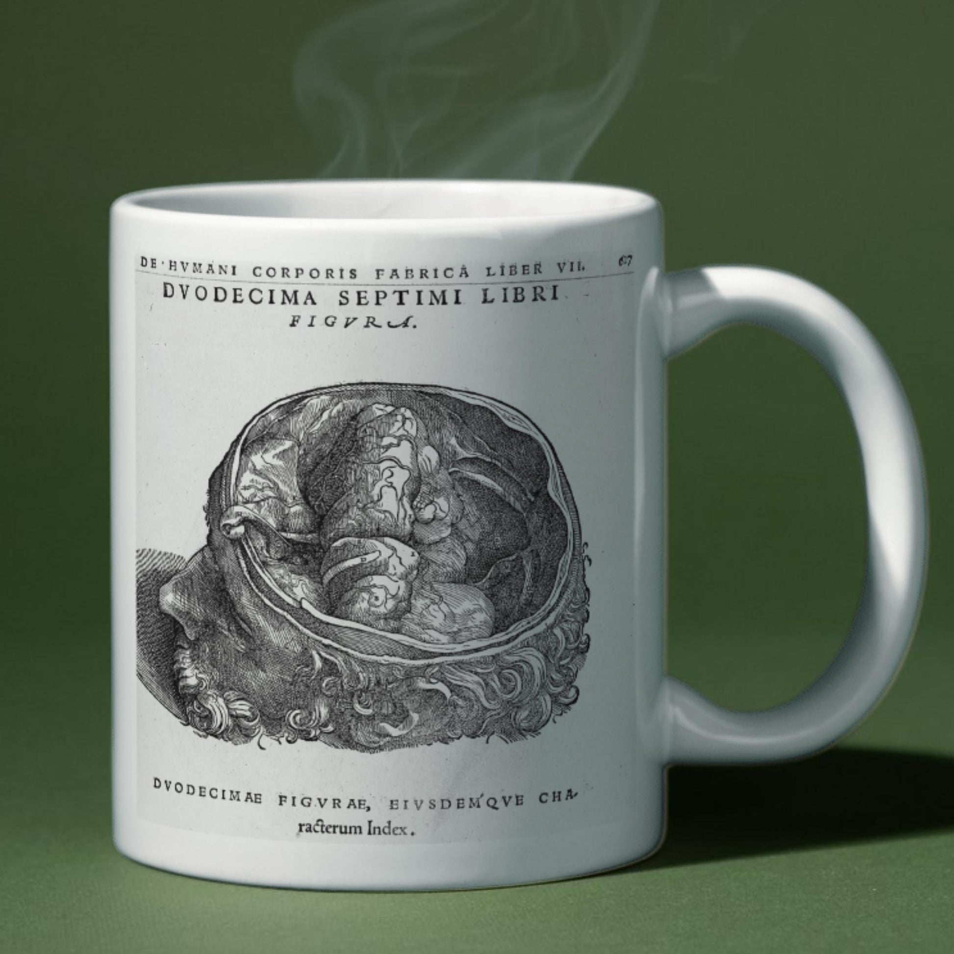 Andreas Vesalius Mug, Gift for Dr, Anatomy Mug, De Humani Corporis Fabrica, Human Anatomy Art Mug, Mug for Goths, Gothic Mug, History Mug