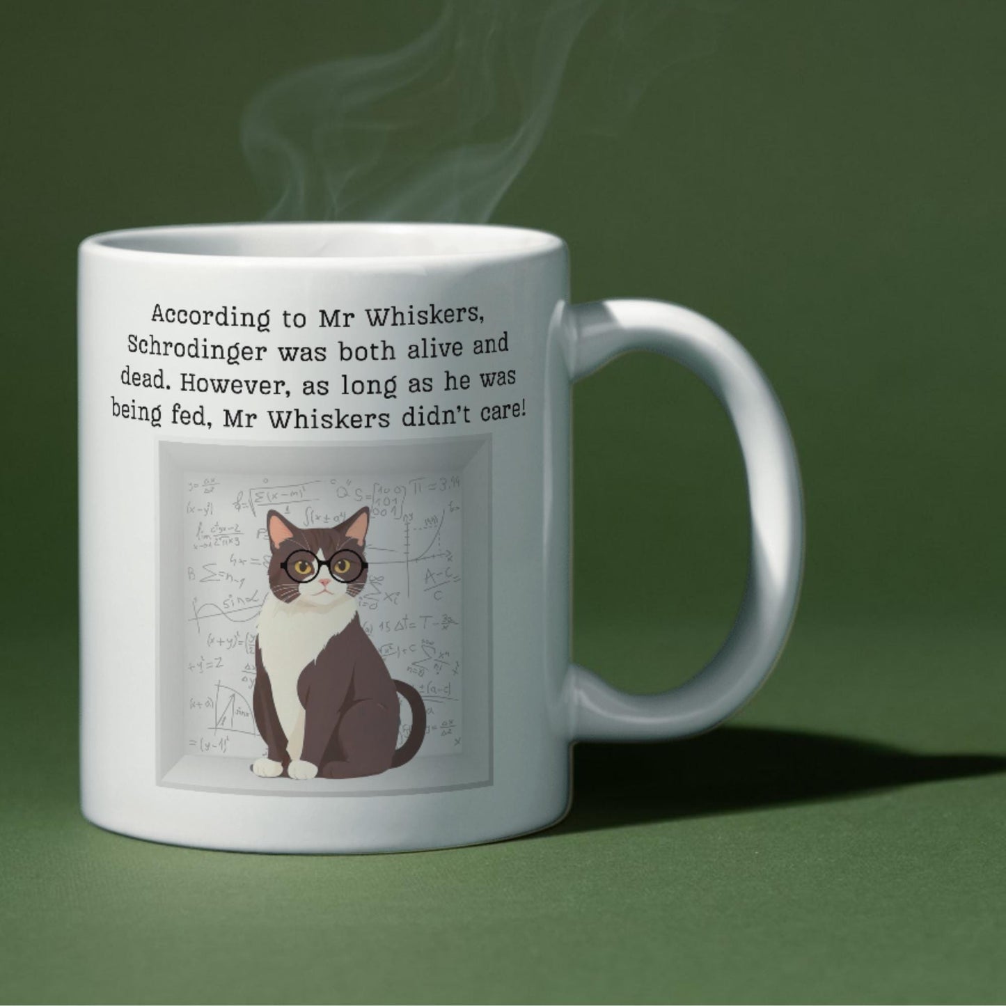Philosophy Joke Mug, Schrodinger Fun gift for Philosophy Student, Schrodingers Cat Mug, Pun Mug, Gift for Philosophy Teacher