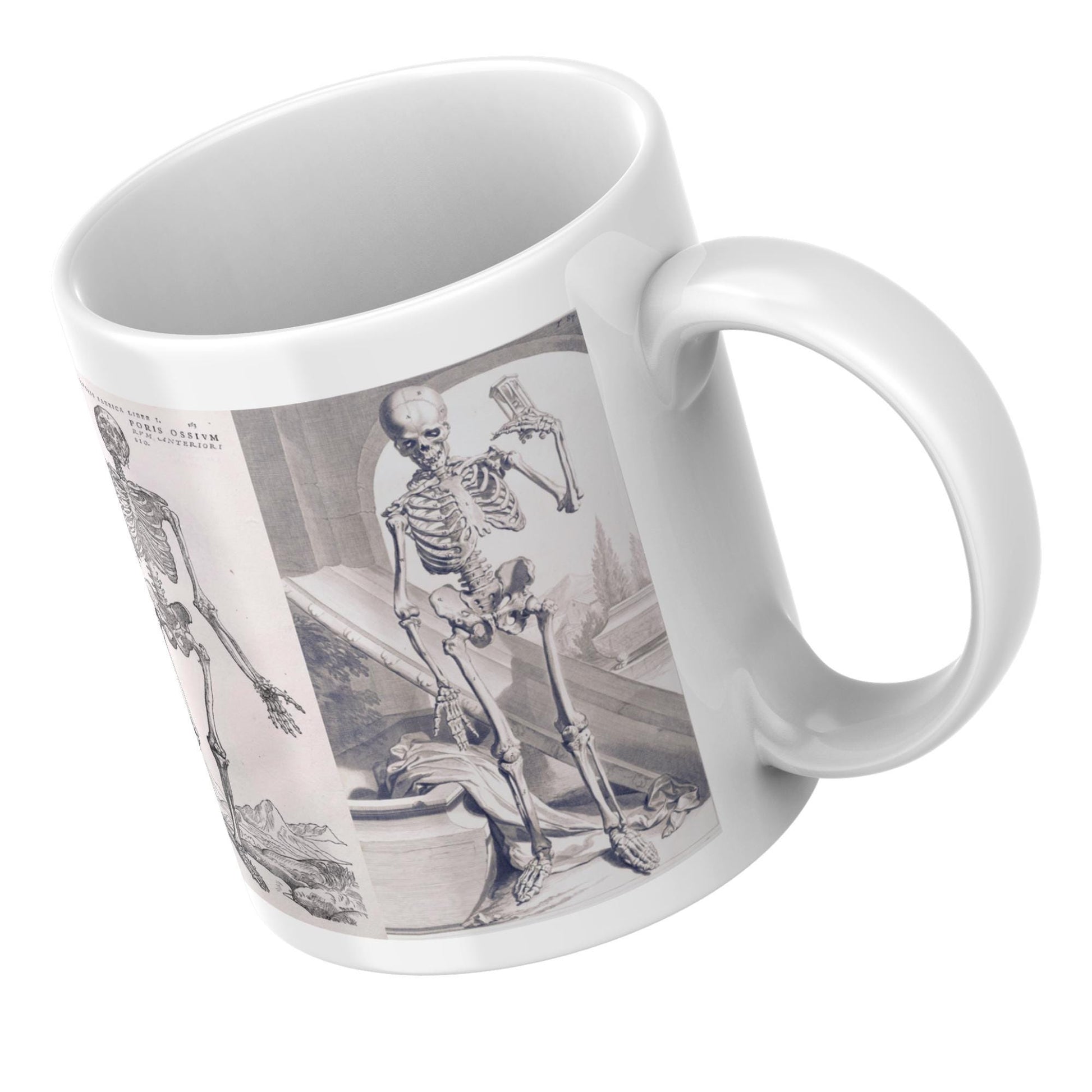 Andreas Vesalius Mug, Gift for Dr, Anatomy Mug, De Humani Corporis Fabrica, Human Anatomy Art Mug, Mug for Goths, Gothic Mug, History Mug