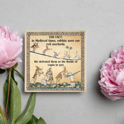 Funny Medieval Card, Rabbit Marginalia Card, Birthday Card for Friend, For Brother, For Sister, Medieval Bunnies