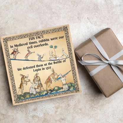 Funny Medieval Card, Rabbit Marginalia Card, Birthday Card for Friend, For Brother, For Sister, Medieval Bunnies