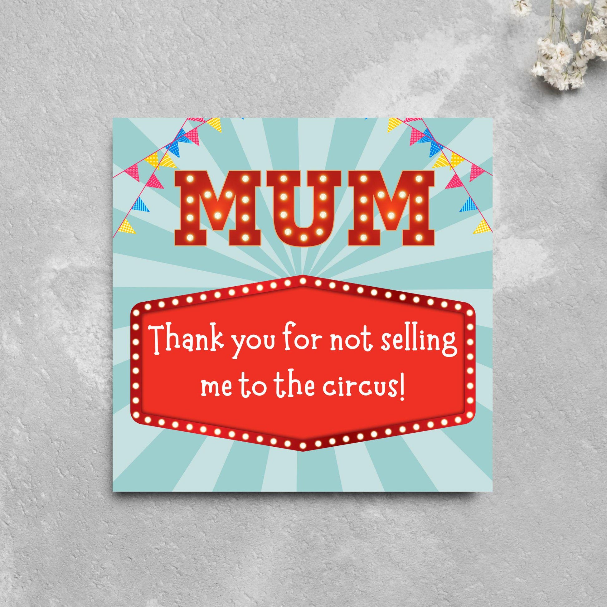 Fun Mothers Day Card, Cute Card for Mum, Greetings Card, Happy Mothers Day, Card for Mother, Mam Card, Thanks Mum Card