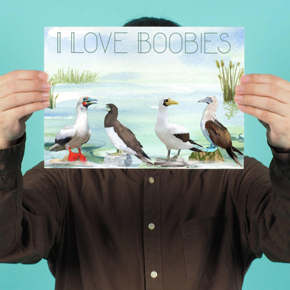 Boobies A4 Print, High Quality Wall Art, Quirky Bird Art, Booby Watercolour, Original Artist Print, Ornithology, Bird Watcher Art