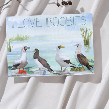 Boobies A4 Print, High Quality Wall Art, Quirky Bird Art, Booby Watercolour, Original Artist Print, Ornithology, Bird Watcher Art
