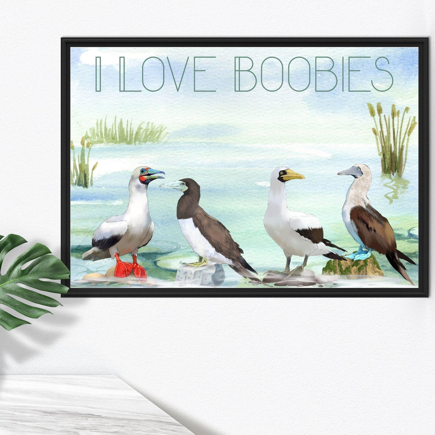 Boobies A4 Print, High Quality Wall Art, Quirky Bird Art, Booby Watercolour, Original Artist Print, Ornithology, Bird Watcher Art
