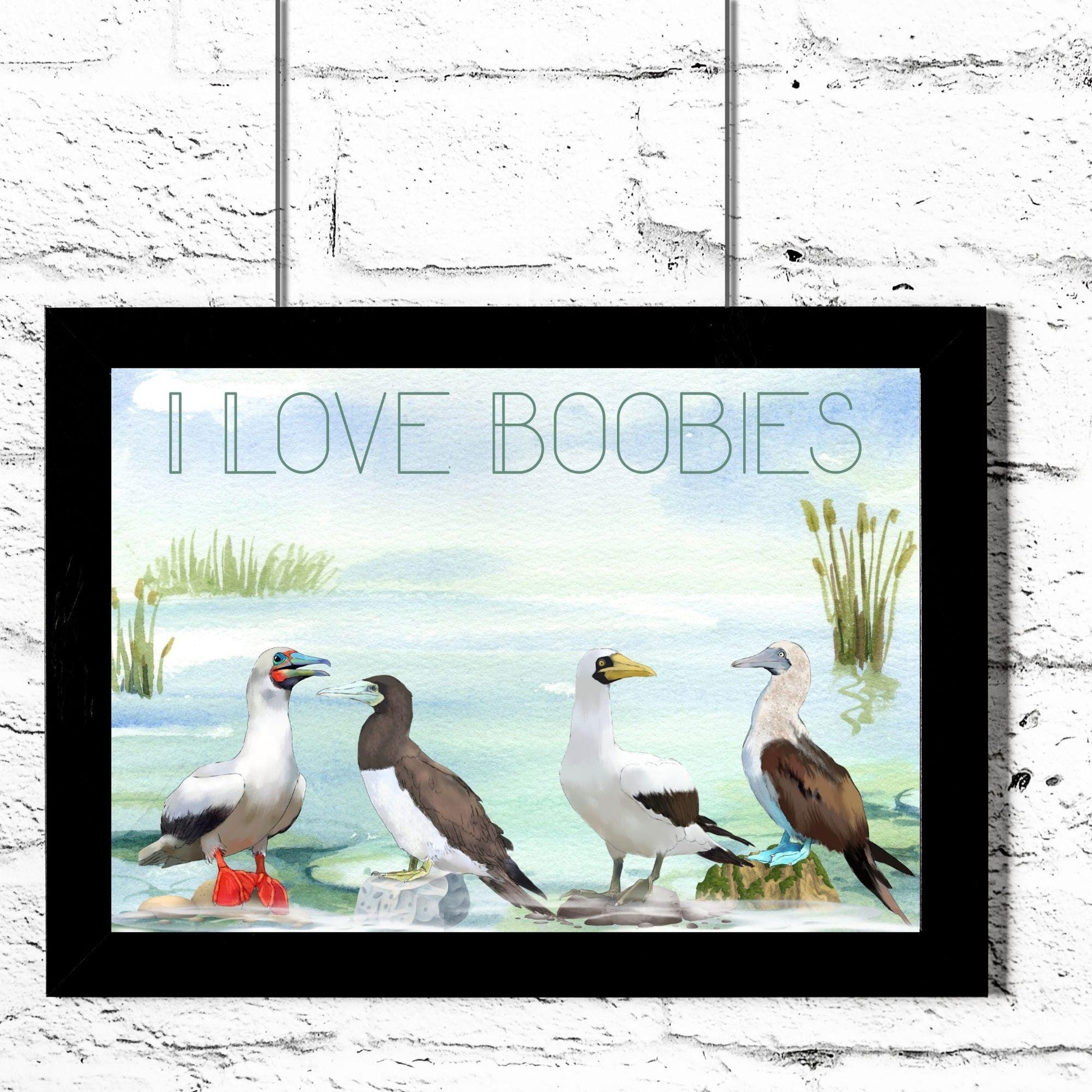 Boobies A4 Print, High Quality Wall Art, Quirky Bird Art, Booby Watercolour, Original Artist Print, Ornithology, Bird Watcher Art