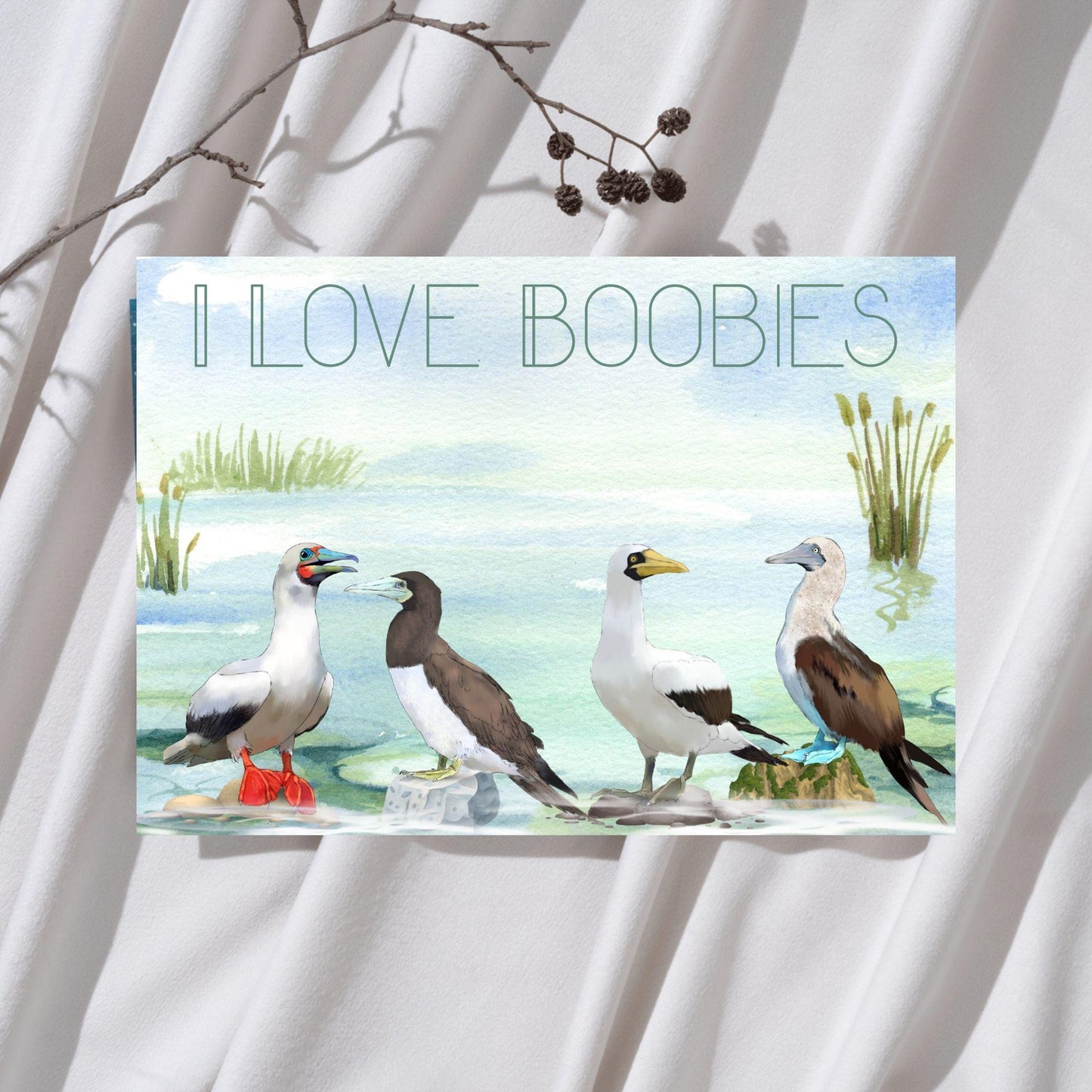 Boobies A4 Print, High Quality Wall Art, Quirky Bird Art, Booby Watercolour, Original Artist Print, Ornithology, Bird Watcher Art