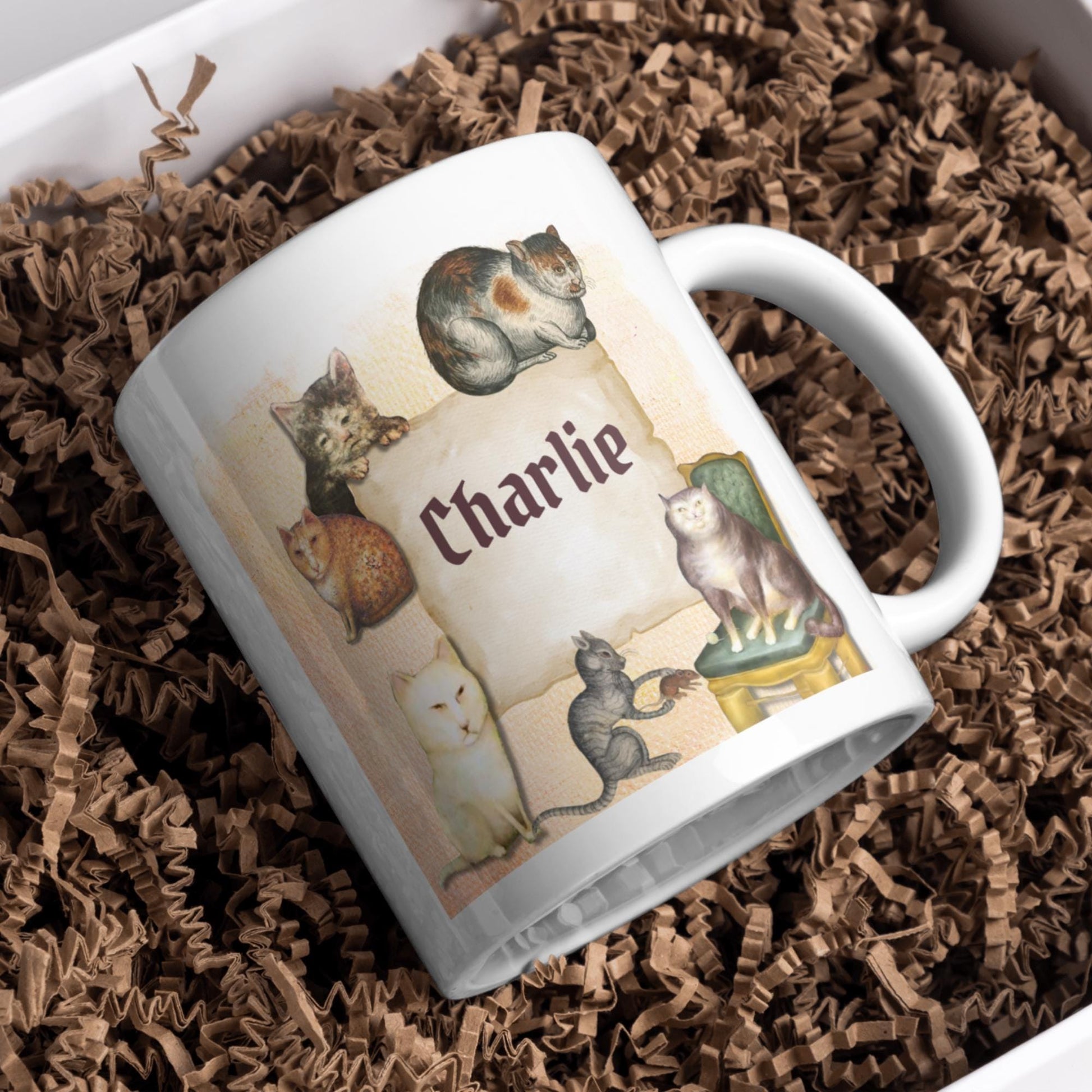 Personalised Medieval Cat Mug, Ugly Cats, Marginalia, Funny Custom Name Coffee Cup - Multi Colour Options
