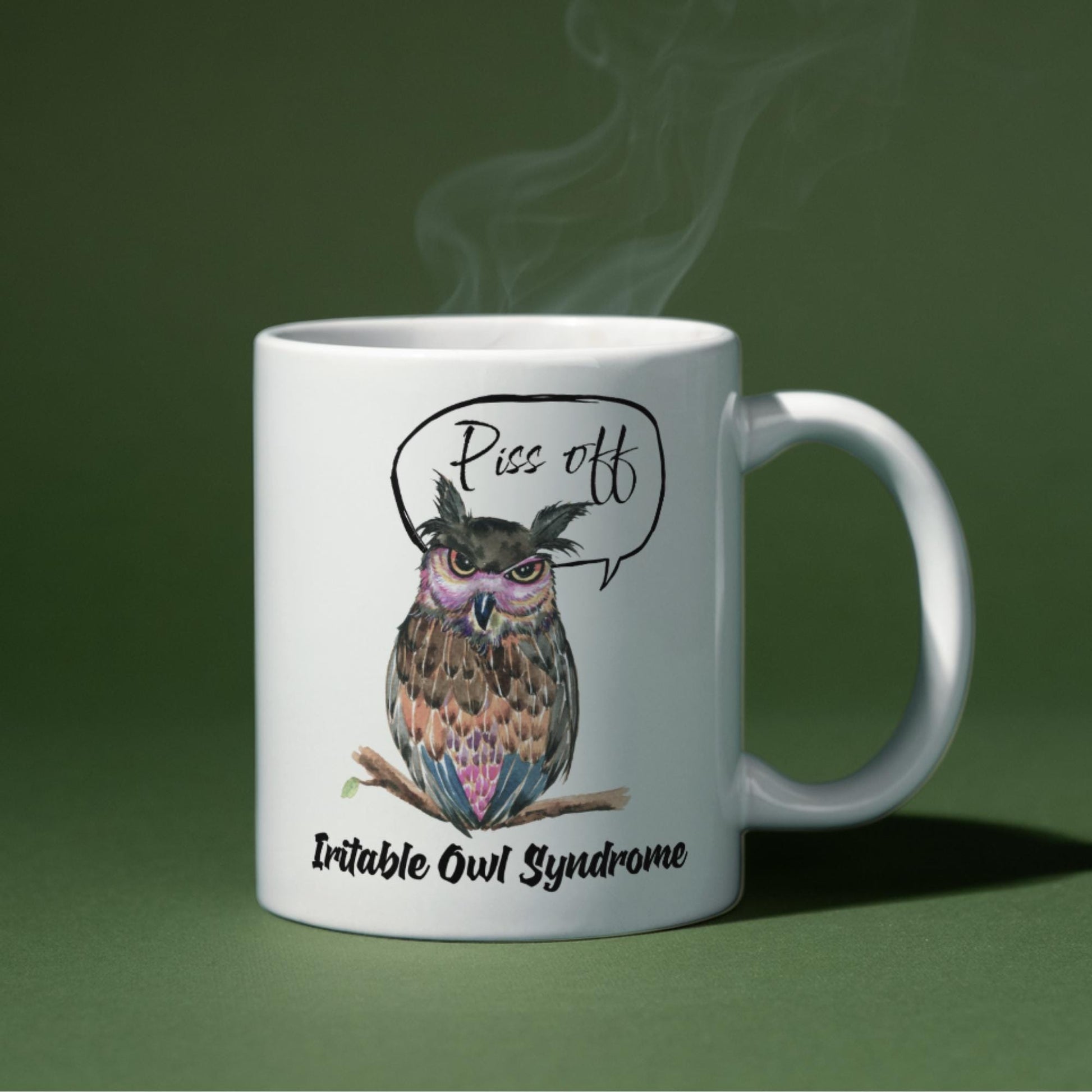 Owl Mug, Funny Coffee Cup, Great Gift For Owl Lovers, Irritable Owl, Rude Mug