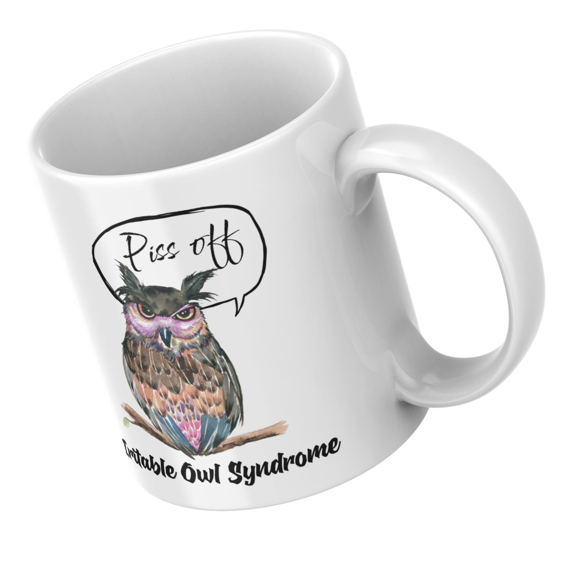 Owl Mug, Funny Coffee Cup, Great Gift For Owl Lovers, Irritable Owl, Rude Mug