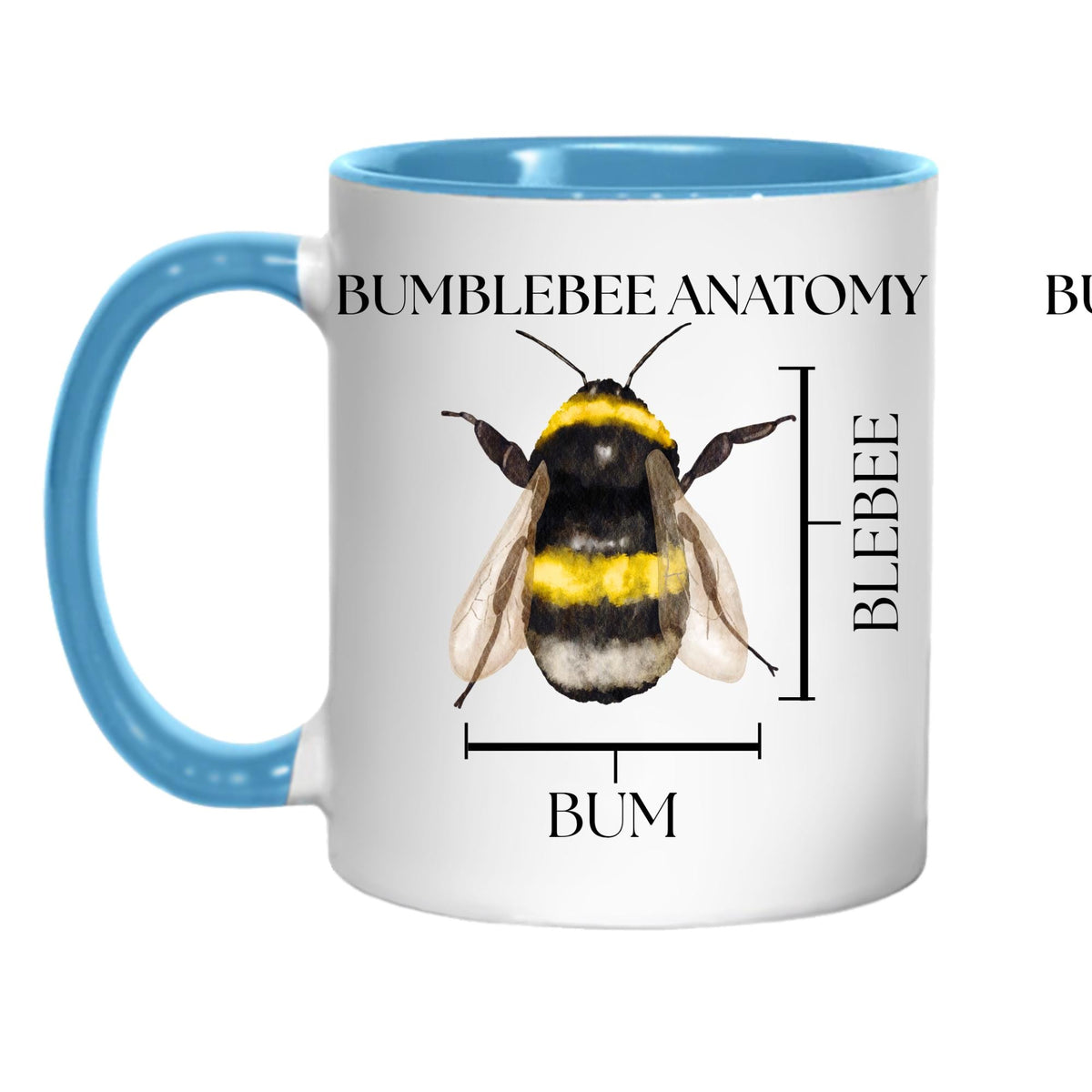 Bumblebee Anatomy Mug, Funny Science Gift, Multi Colour Options