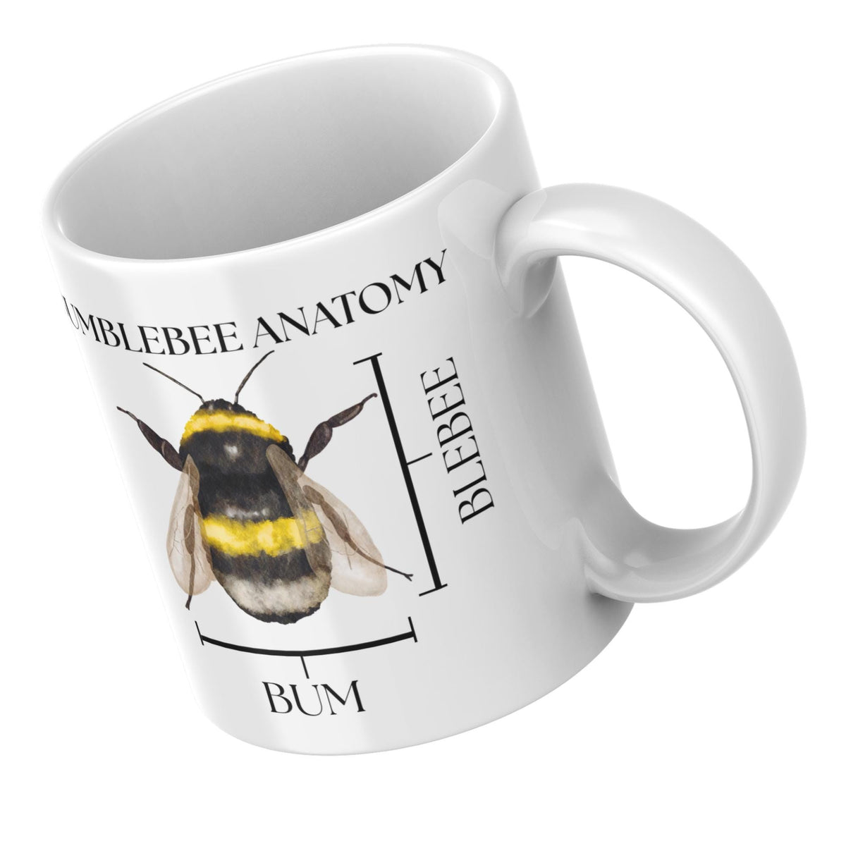 Bumblebee Anatomy Mug, Funny Science Gift, Multi Colour Options