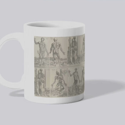Andreas Vesalius Mug, Gift for Dr, Anatomy Mug