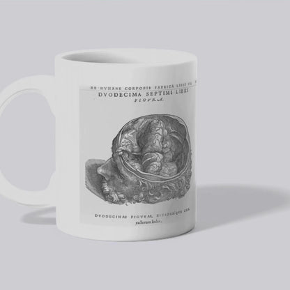 Andreas Vesalius Mug, Gift for Dr, Anatomy Mug